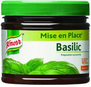 Mise en place Basilic Knorr – Pot 340 grs